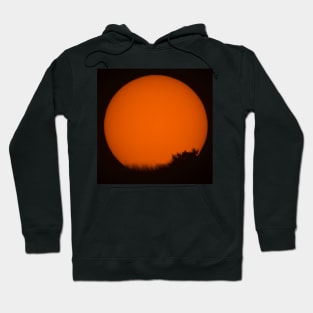 Transit of Mercury Hoodie